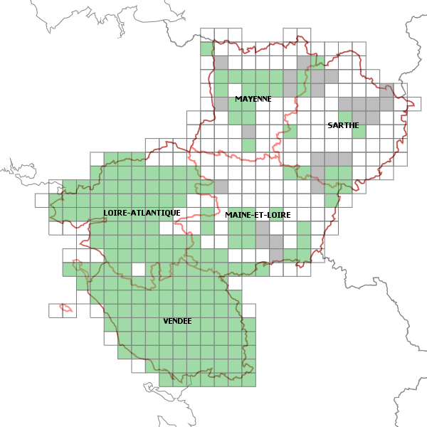 overview