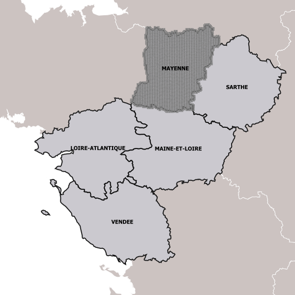 overview
